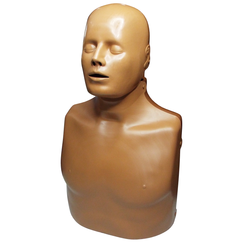 PractiMan Male Advanced c/w Carry Bag Dark Safety Signs & Equipment